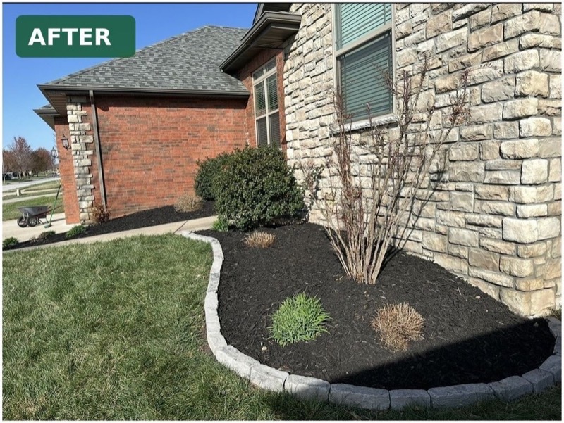 Foundation bed after restoration with dark mulch and stone border