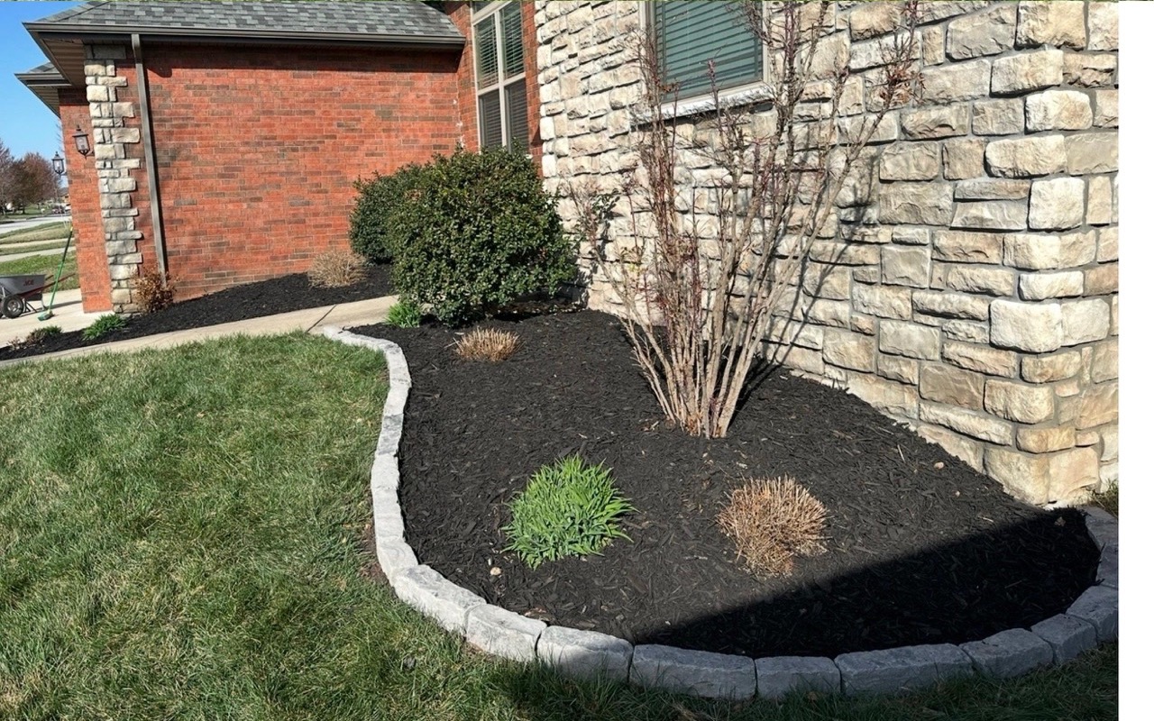 Corner bed after rebuild with black mulch and paver edging