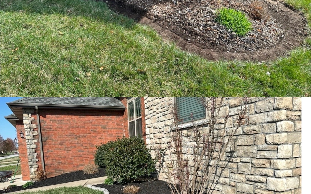 The same corner bed before, tired and washed out